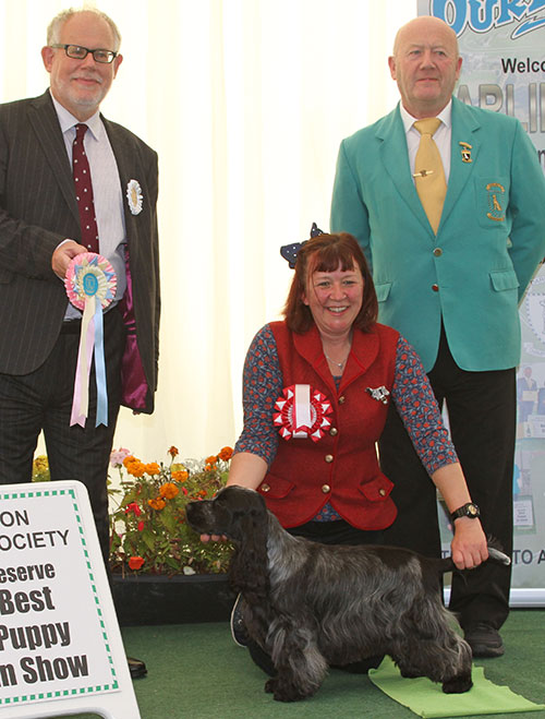 Miss S J Whiting Annilann Miss Zing with BPIS judge Mr S Parsons & Mr D Mitchell (Committee)  