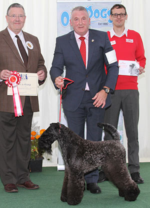 Mr R Tasselli Balboa Nembo Kid with group judge Mr T Mather & Mr J Wolstenholme (Royal Canin) 