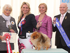 Mrs E Chilton & Mrs N Davey Sixth Sense Hankey Bannister By Klassna (Imp) with group judge Mrs E Stannard & Mr D Guy (Secretary) 