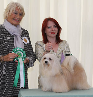 Dr A Akkad & Mrs O Carty Int Ch Ger Ir Ch Foxy Lady By Labayamesa CW16 with group judge Mrs E Stannard