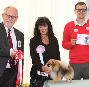 Ms S Smith Sueacres Bettin On Evie with puppy group judge Mr S Parsons & Mr J Wolstenholme (Royal Canin)