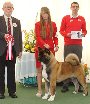 Ms C Bevis, Mrs F Bevis & Mrs R Corr Stecal's Remember My Name with puppy group judge Mr S Parsons & Mr J Wolstenholme 