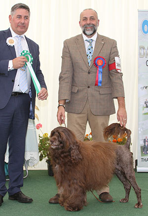 Mr A J Bongiovanni & Mr J L Heard Ch Ankors Freya with group judge Mr J Horswell 