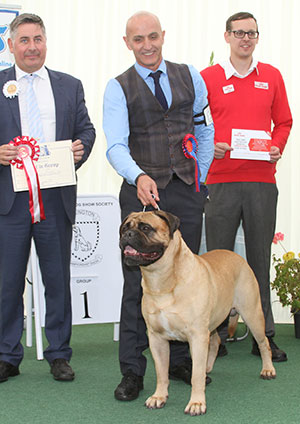 Mr P J Myres & Miss D Morgan Ch Old Manila's Whisky Mac For Optimus JW with group judge Mr J Horswell & Mr J Wolstenholme (Royal Canin)l