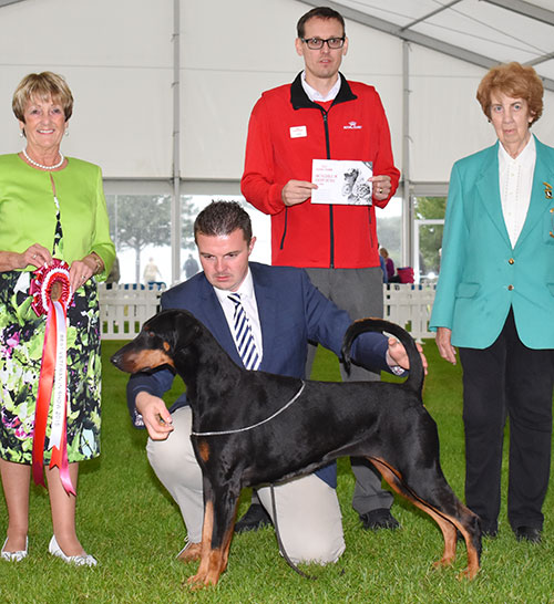 Mrs J A Ingram & Miss V L Ingram Ch Tronjheim Belladonna From Jojavik JW Sh CM with BVIS judge Mrs J A Ward, Mrs J E Corner (Committee) & Mr J Wolstenholme (RC) 