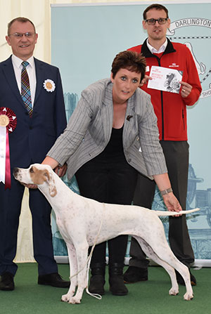 Mrs M C Gerrard Chesterhope C'mon Over To Carmandine (Imp) with puppy group judge Mr F Whyte & Mr J Wolstenholme (Royal Canin)