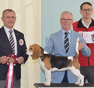 Messrs Jones & Jepson Messrs T & S Eardley Anna Sasin with puppy group judge Mr F Whyte & Mr J Wolstenholme (Royal Canin)