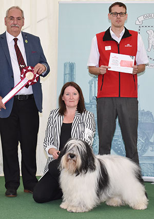 Miss L Mottram Ch Mybeards Hero with group judge Mr S Atkinson & Mr J Wolstenholme (Royal Canin)