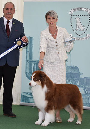 Mrs K Kirtley & Mrs D Erdesz AKC ASCA Ch Wyndstar Magic Marker with group judge Mr S Atkinson