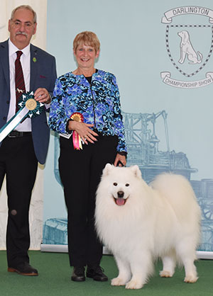 Mrs V Freer & Mrs S Smith Ch Nikara Diamond Dancer JW with group judge Mr S Atkinson