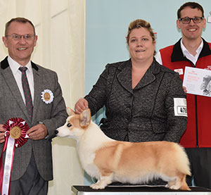 Mrs C B Blance & Miss N L Blance Penliath Bill Me Later (ai) with puppy group judge Mr F Whyte & Mr J Wolstenholme (Royal Canin)