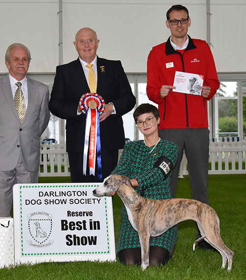 Mrs S Mowbray West Chelan Quick Look At Me with BIS judge Mr S Hall, Mr D Guy (Secretary) & Mr J Wolstenholme (Royal Canin) 