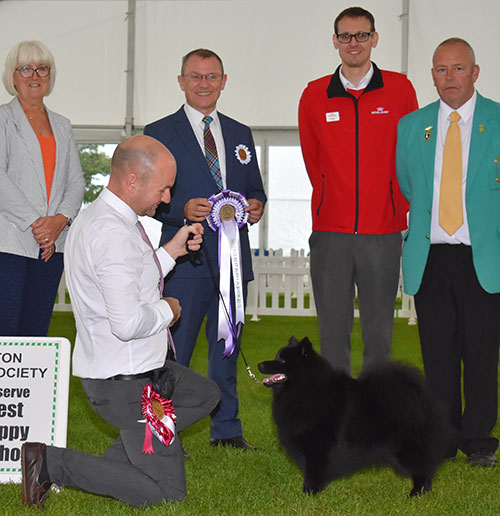 Mr G Pearce, Mr D Francis & Mrs D Roberts Longsdale's Rebel Rouser At Cwrtafon with BPIS judge Mr F Whyte, Mr M Walshaw (Committee) & Royal Canin