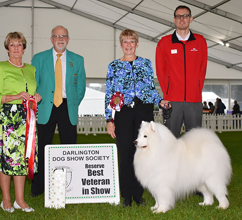 Mrs V Freer & Mrs S Smith Ch Nikara Diamond Dancer JW with BVIS judge Mrs J A Ward, Mr T A Pearson (Committee) & Mr J Wolstenholme (Royal Canin)