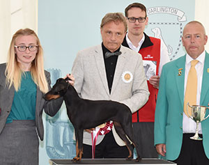 Miss B R Cawley Ch Marlablue In A Twirl Sh.CM with group judge Mr E Engh, Mr M Walshaw (Committee) & Mr J Wolstenholme (Royal Canin)