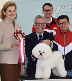 Messrs M Coad & R Smith Ch Regina Bichon You Rock My World at Pamplona with group judge Dr A Paloheimo & Mr J Wolstenholme (Royal Canin)