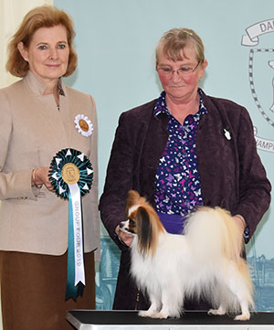 Mrs E Kirk Ch Iotastar's Forever Autumn At Kirkchase JW with group judge Dr A Paloheimo