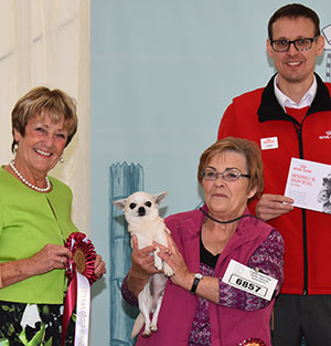 Mrs B Sutton Ch Lozek Rhapsody In Blue Nikitos JW with veteran group judge Mrs J A Ward & Mr J Wolstenholme (Royal Canin)