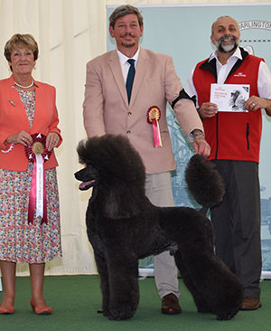 Mrs C Furey Ch Somanic Style By Design At Clanese with veteran group judge Mrs J A Ward & Mr A Bongiovanni (Royal Canin)