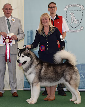 Ms S Ellis Chayo Cause Celebre with group judge Mr G Hill & Mr J Wolstenholme (Royal Canin)