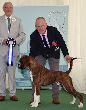Mr M Griffiths Ch Lanfrese Argento with group judge Mr G Hill