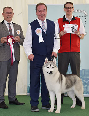 Mr & Mrs H & B A Morris Cwnhapus Innoko with puppy group judge Mr F Whyte & Mr J Wolstenholme (Royal Canin)