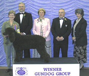 Gundog Group 1st