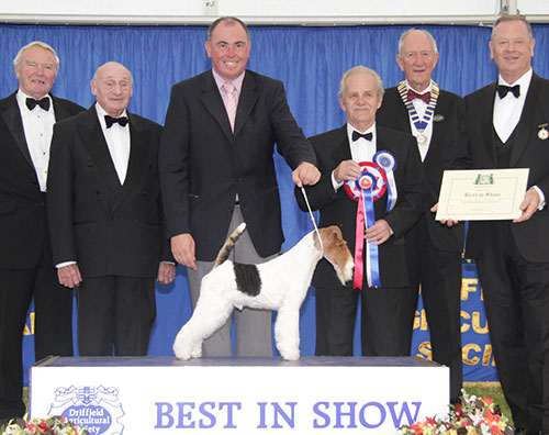 Mr V Malzoni Ch Travella Striking Steel with BIS judge Mr S Hall, Mr M Freeman (Secretary), Mr D Lamplough (President of the agricultural society) & Lord Kirkham (President of the dog show society)