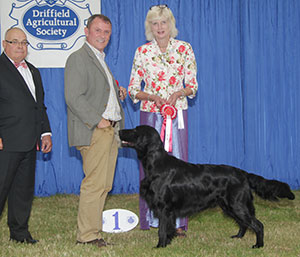 Ms K Anderson Sh Ch Ballyriver Blake with group judge Mrs F Coward-Scholes & Mr C Woodward (Committee)