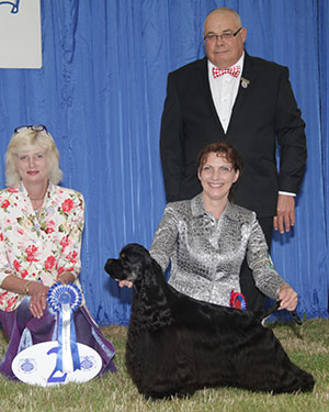 Ms R Kingsley Sh Ch Bigtop's Russian Innvada with group judge Mrs F Coward-Scholes & Mr C Woodward (Committee)