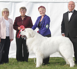 Mrs C Kenyon & Mr A J Ward Ch Charibere Simply Special At Chezanna JW Sh.CM with group judge Mrs F Kaye & Mr E Lockett (Treasurer) 