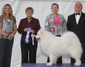 Miss L M Jones Ch Vandreem Imperial Kai Sh.CM with group judge Mrs F Kaye & Mr E Lockett (Treasurer)
