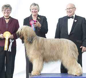 Mrs C Foster Ch Fostebrie Just Divine Sh.CM with group judge Mrs F Kaye & Mr K Derry (Chief Steward)