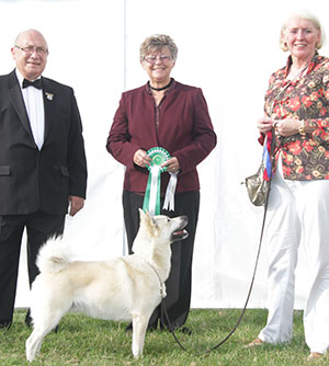 Mr & Mrs A & S Dobson, Mrs S Cale & Mrs Evans Ch Arnscroft Di To Be A Sailor Ir J Ch with group judge Mrs F Kaye & Mr K Derry (Chief Steward)