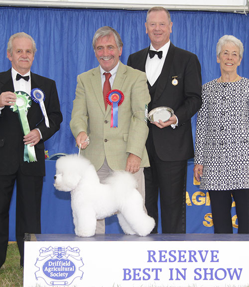 Mr M Coad, Mrs R Belstad & Mr O Bjorke Havelin Multi Ch Pamplona Just Magic with BIS judge Mr S Hall