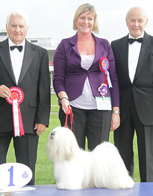 Mrs J Scarll & Ms S Sykes Ch Timazinti Danio with group judge Mr C Reed & Mr K Pursglove (Chairman) 