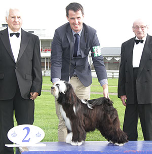 Mr D Roberts & Mrs J PriceJ & Mrs F Whitehead Kybo Top Notch Tonto with group judge Mr C Reed & Mr M Freeman (Secretary)