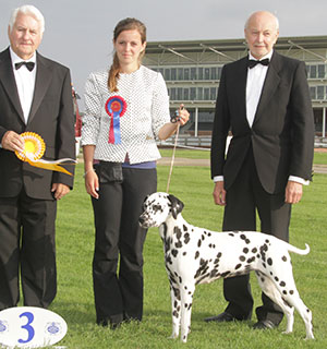 Mr I Page, Miss C Page & Mrs K Page Winflash Born To Be Wild JW with group judge Mr C Reed & Mr K Pursglove (Chairman)