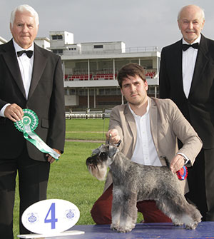 Mr T B Braithwaite Wellingley Wild Adventure Sh.CM with group judge Mr C Reed & Mr K Pursglove (Chairman)