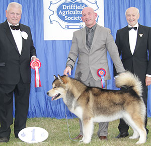 Miss I Z Nawrocka & Mr B J Phillips Monikoona Most Wanted with group judge Mr R A W Searle & Mr K Pursglove (Chairman) 