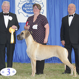 Miss I E M Cooke Ch Danelyne She's Got The Look For Tantallon (Imp) with group judge Mr R A W Searle & Mr E Lockett (Treasurer) 