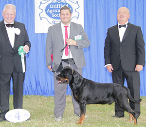Mr I Trueman & Miss C A Brownridge Ch Jezeve Sherbet JW Sh.CMwith group judge Mr R A W Searle & Mr E Lockett (Treasurer) 