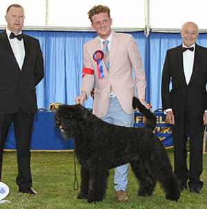 Mrs F Lambert Liskport Lord Of The Rings (ai) with group judge Mr K Young & Mr K Pursglove (Chairman) 