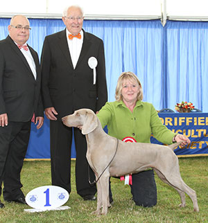 Mrs G Simpson & Mrs G Dawson Ch Sireva Skype JW with group judge Mr J N Newton & Mr C Woodward (Committee) 