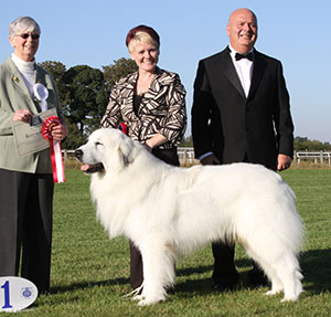 Mrs C Kenyon & Mr A J Ward Ch Charibere Simply Special At Chezanna JW Sh.CM with group judge Mrs P Chadwick & Mr E Lockett (Treasurer)