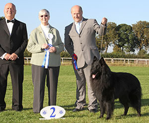 Mr P & Mrs J Lawless & Miss K Lawless Ch & Ir Ch Revloch Figo with group judge Mrs P Chadwick & Mr E Lockett (Treasurer)