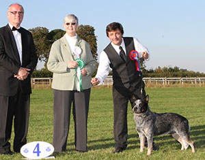 Miss K Jebson Ch Austmans Finn Mcmissile with group judge Mrs P Chadwick & Mr M Lancashire (Show Manager) 