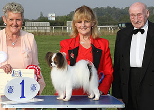 Mrs I & Mr G Robb Ch Gleniren Shootin Starmaker Sunshoo with group judge Mrs R Parry & Mr M C Freeman (Secretary)
