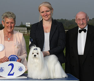 Miss N Welbourn Ch Zumarnik Stars N Stripes with group judge Mrs R Parry & Mr M C Freeman (Secretary)