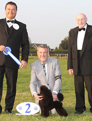 Mr L A Cox & Mrs A Evans Ch Vanitonia As You Wish TAF with group judge Mr P Harding & Mr M C Freeman (Secretary)